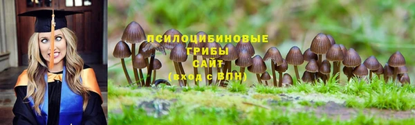 МДМА Богданович