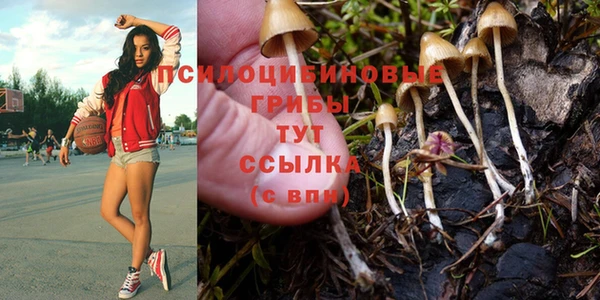 кокаин премиум Беломорск