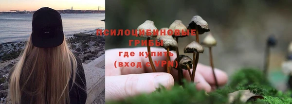 скорость Белокуриха