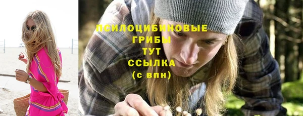 гидропоника Нязепетровск