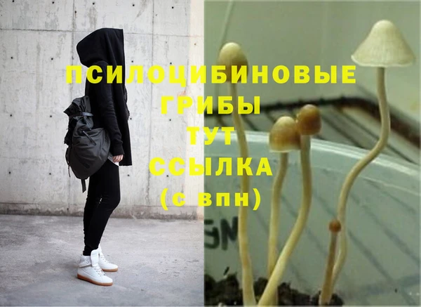 экстази Богородск